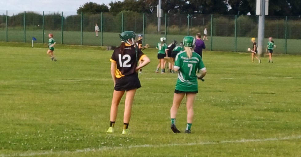 Camogie Game
